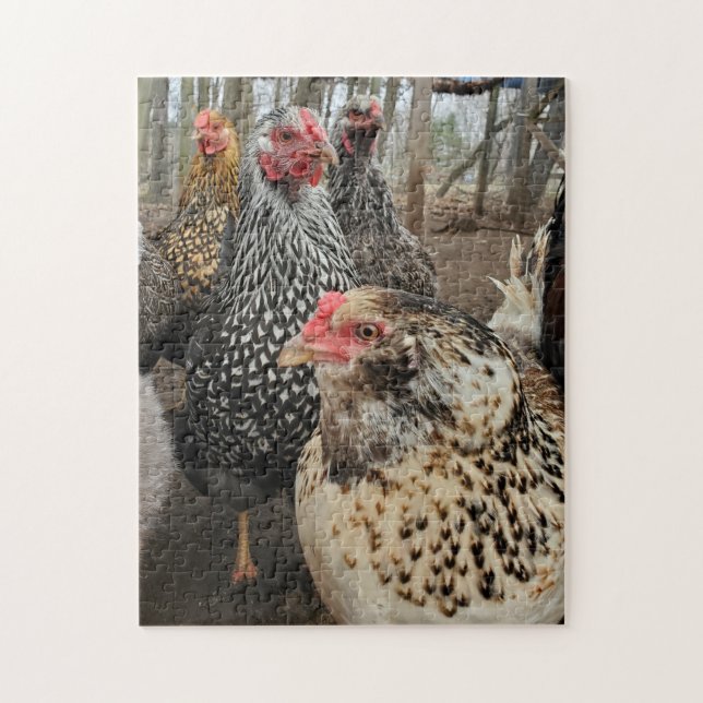 Chicken Jigsaw Puzzle (Vertical)