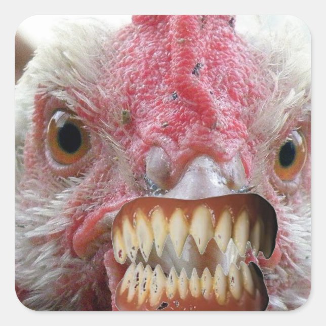 Chicken Lips, Chicken Teeth, DracaChicken Square Sticker (Front)