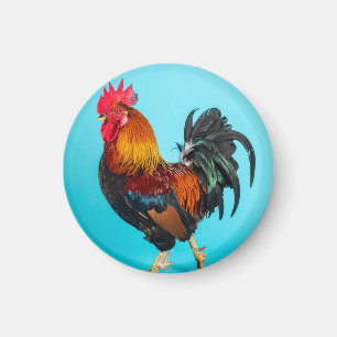chicken magnet
