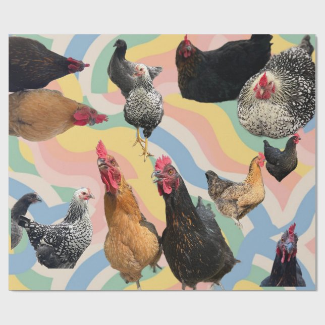 Chicken Mania 2 All Occasion Wrapping Paper (Flat)