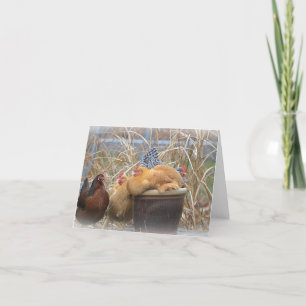 Chicken Note Card