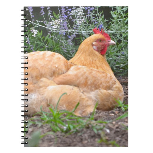 Chicken Notebook (Front)