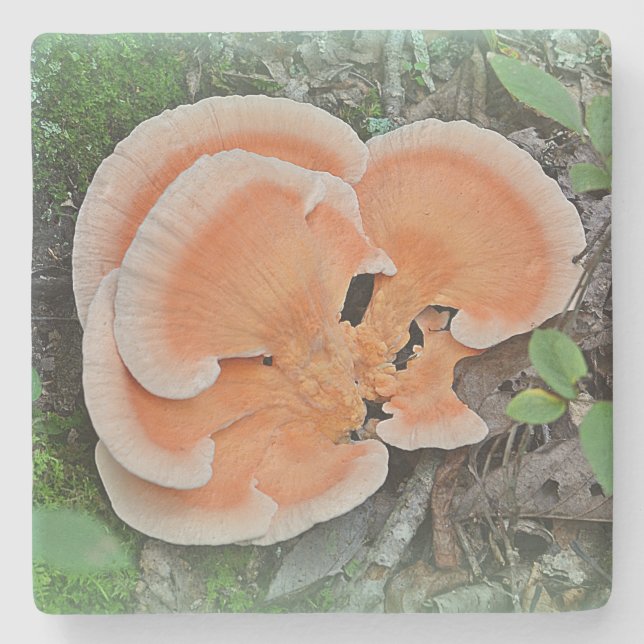 Chicken Of The Woods Mushroom Stone Coaster (Front)