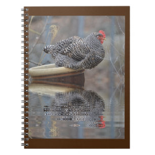 Chicken On Flowerpot Spiral Notebook