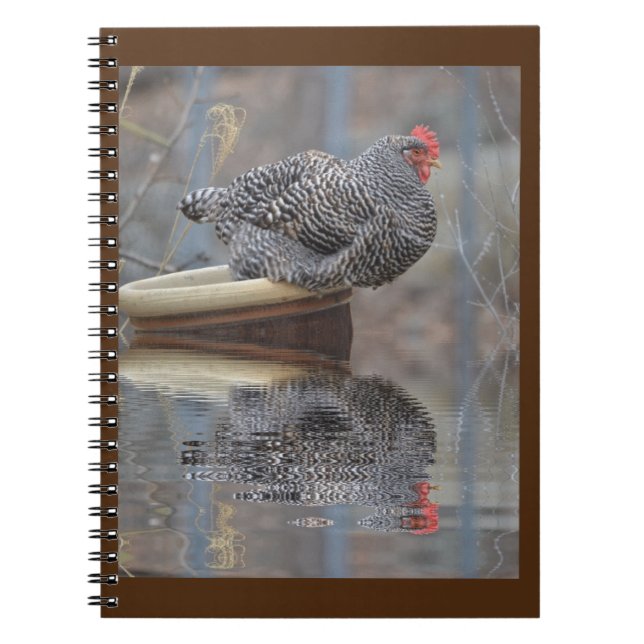 Chicken On Flowerpot Spiral Notebook (Front)