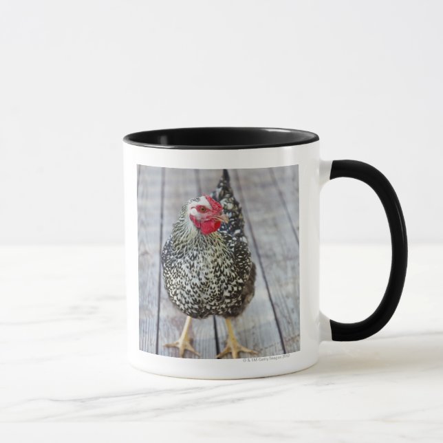 Chicken on wood deck, Silver Laced Wyandotte Mug (Right)