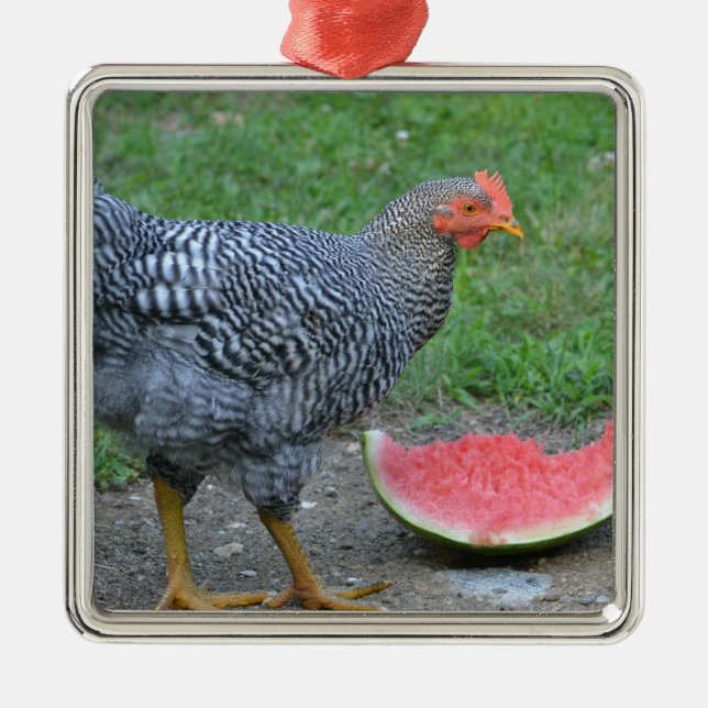 Chicken Ornament (Front)