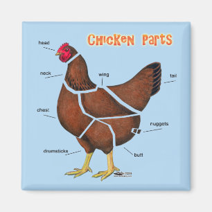 Chicken Parts Magnet