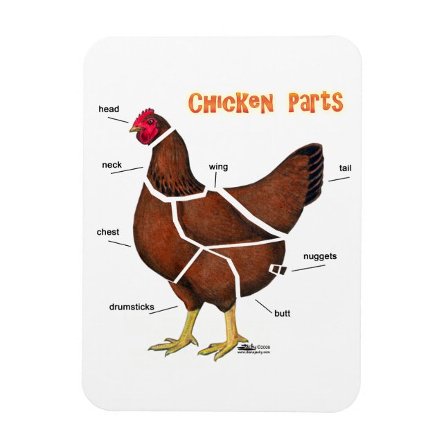 Chicken Parts Magnet (Vertical)