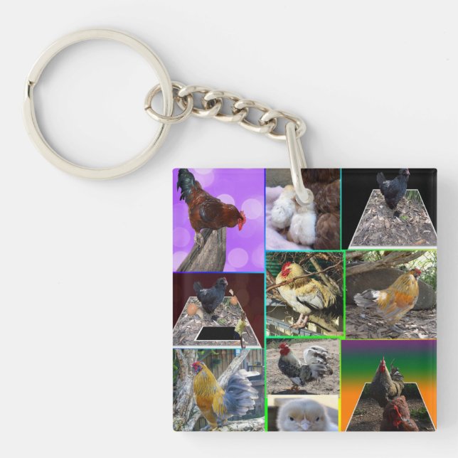 Chicken Photo Collarge, Key Ring (Front)