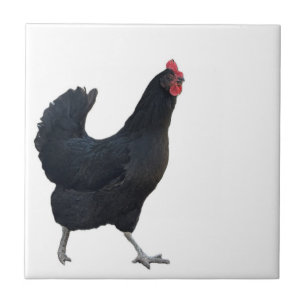 Chicken Photo Tile 