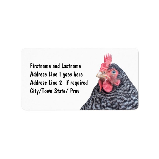 Chicken Picture Barred Rock Laying Hen Label (Front)