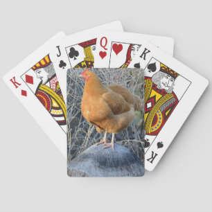 Chicken Playing Cards