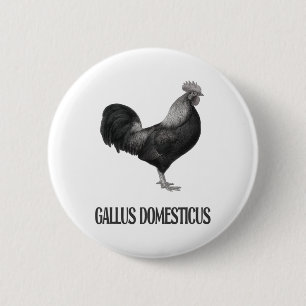 Chicken Poultry Design _1 6 Cm Round Badge