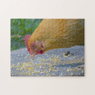 Chicken Puzzle