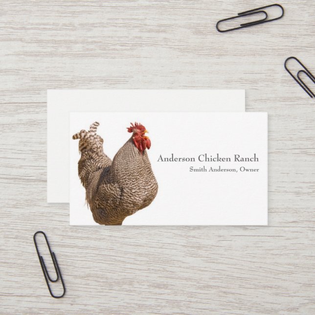 Chicken Rancher Business Card (Front/Back In Situ)