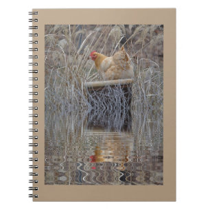 Chicken Reflections Spiral Notebook