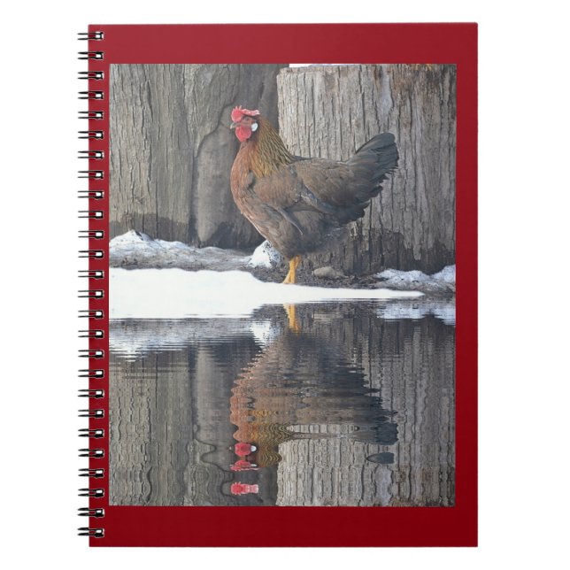 Chicken Relections Notebook (Front)