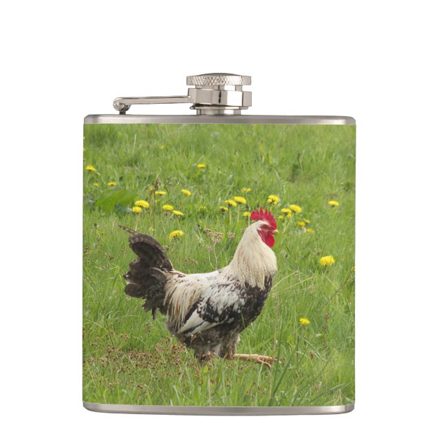 chicken, rooster, animal, bird, farm, agriculture, hip flask (Front)