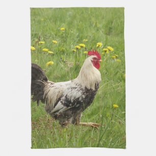 chicken, rooster, animal, bird, farm, agriculture, tea towel
