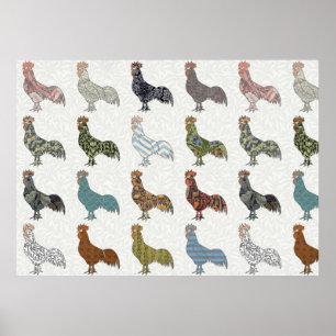 Chicken Rooster Colourful Pattern Farm Poster