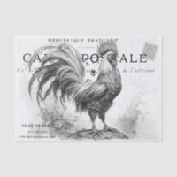 Chicken Scratch Tissue Paper