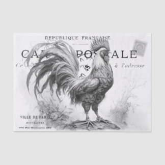 Chicken Scratch  Tissue Paper