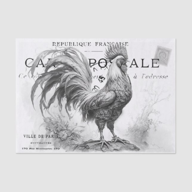 Chicken Scratch  Tissue Paper (Front)