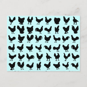 Chicken Silhouettes Postcard