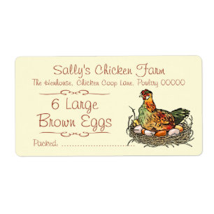 Chicken sitting on eggs colourful drawing