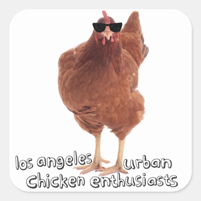 Chicken Stickers! Square Sticker (Front)