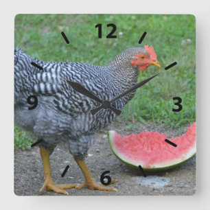 Chicken Watermelon Wall Clock