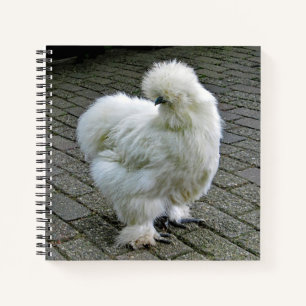 Chicken White Silkie Photo Notebook