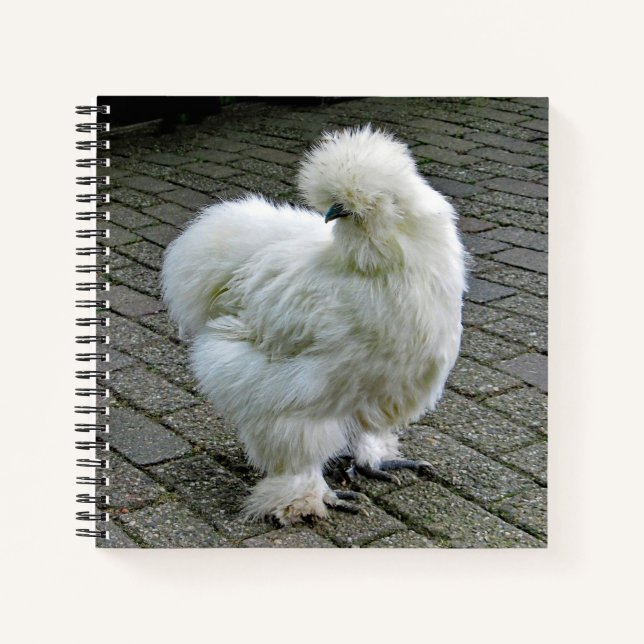 Chicken White Silkie Photo Notebook (Front)