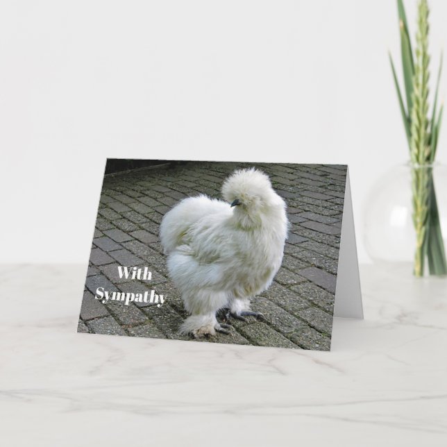 Chicken White Silkie Photo Sympathy Card (Front)