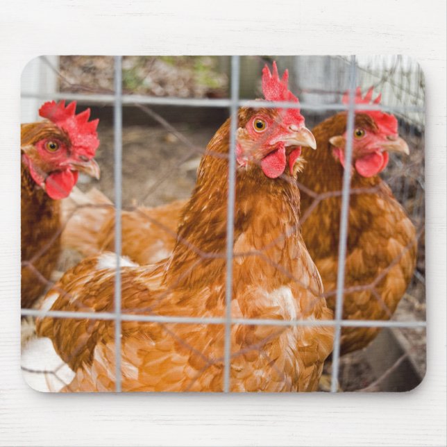Chicken Wire Mouse Pad (Front)