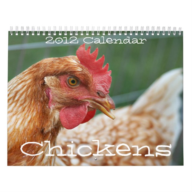 Chickens 2011 Calendar (Cover)