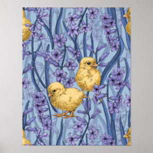 Chickens and hyacinths on sky blue poster