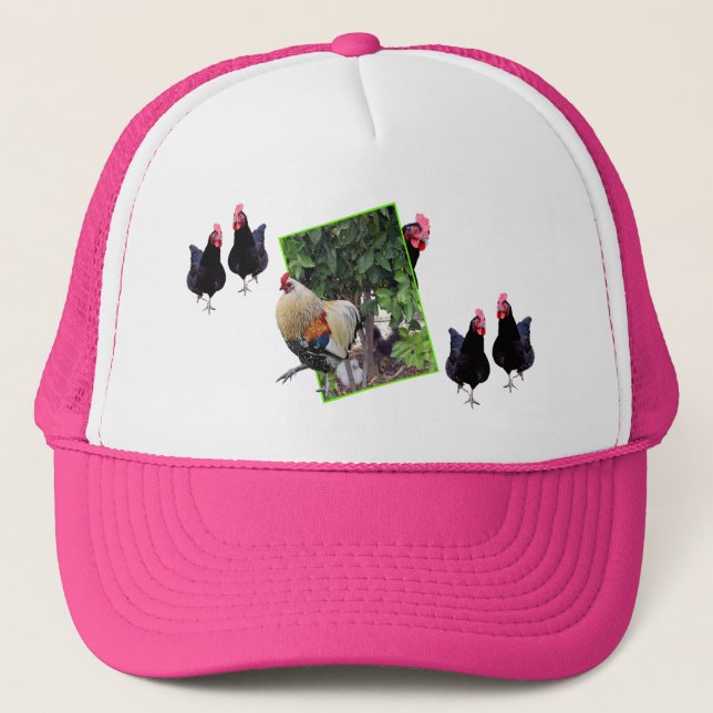 Chickens And Rooster Peekaboo, Trucker Hat (Front)