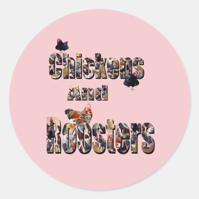 Chickens And Roosters, Classic Round Sticker (Front)