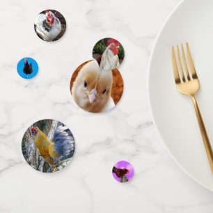 Chickens And Roosters, Confetti