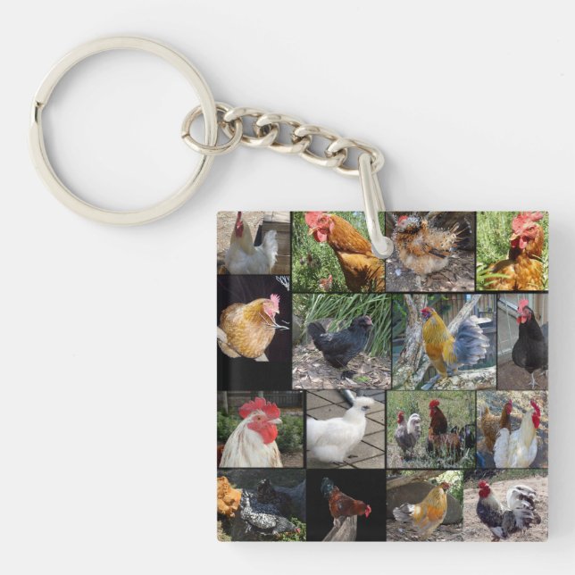 Chickens And Roosters Photo Collage, Key Ring (Front)