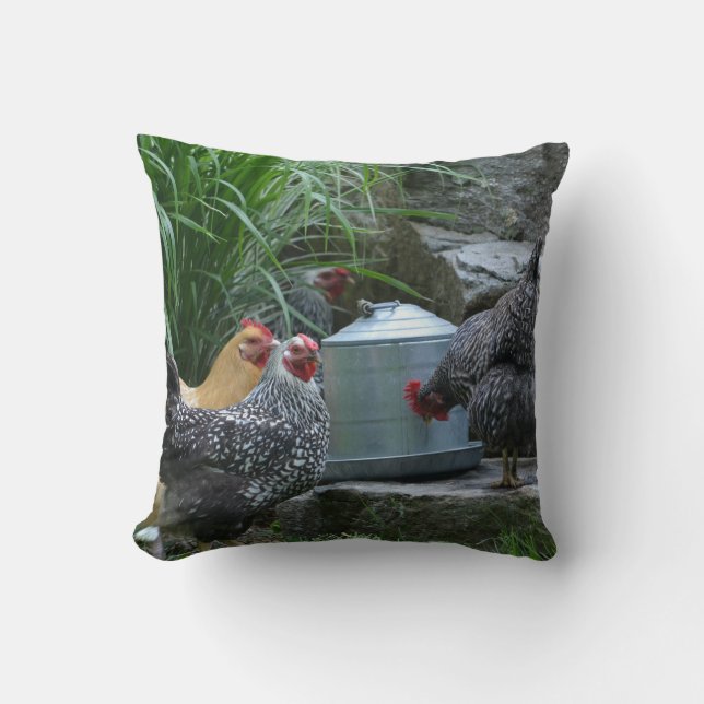 Chickens At The Water Cooler Pillow (Front)
