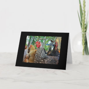Chickens Card