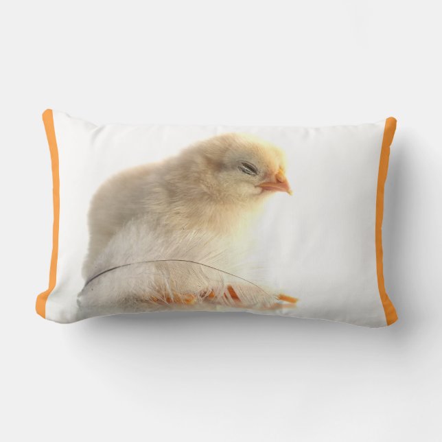 chickens chicks with feather lumbar cushion (Front)