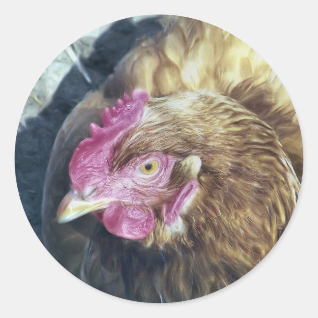 CHICKENS CLASSIC ROUND STICKER (Front)