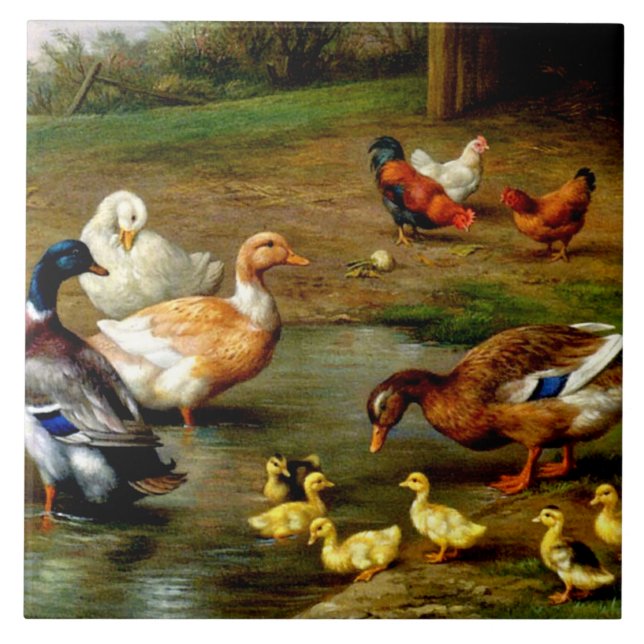 Chickens, Ducks And Ducklings At The Farm Tile (Front)