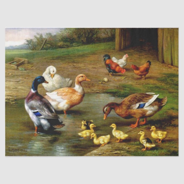 Chickens, Ducks And Ducklings At The Farm Tissue Paper (Front)