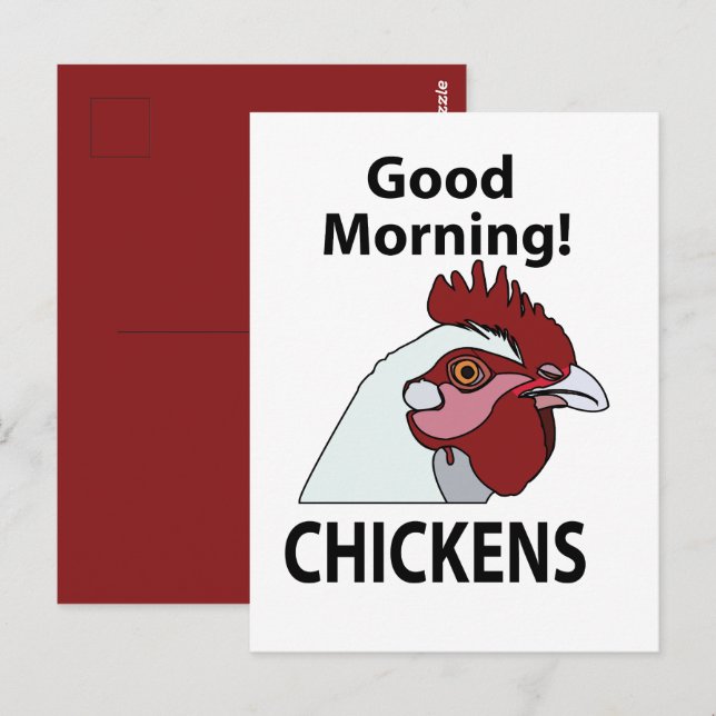 Chickens Good Morning Funny Chicken  Postcard (Front/Back)