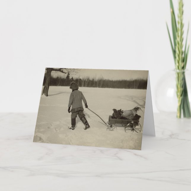 Chickens In Snow Greeting Card (Front)